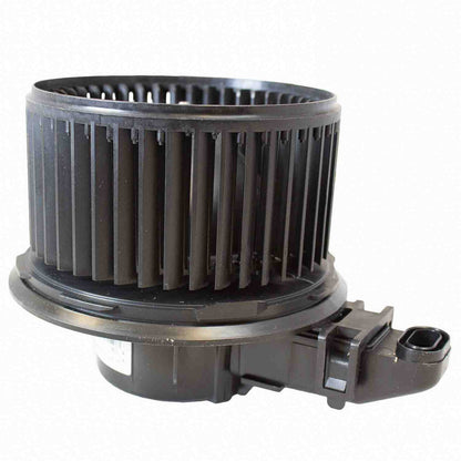Motorcraft MM1007