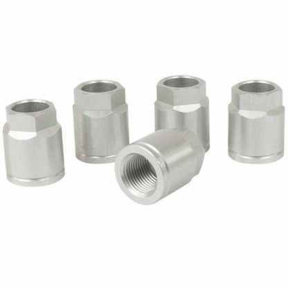 Motorcraft TPMS13