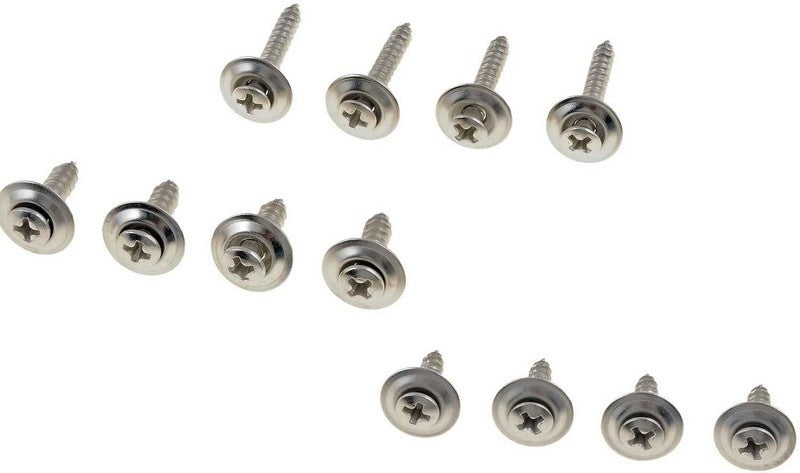 Dorman HELP Chrome Trim Screw Assortment for Door Interior Panel 02404