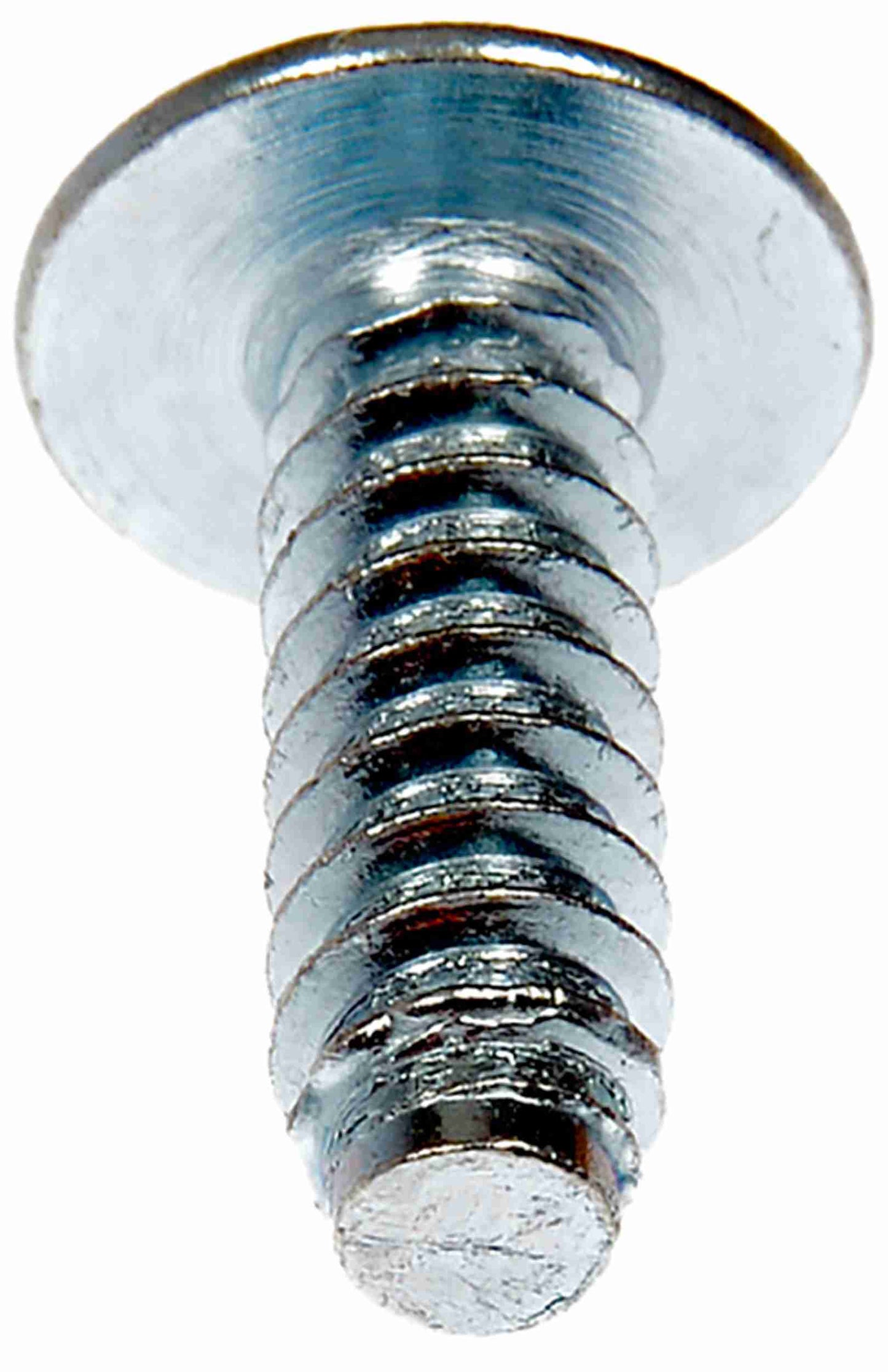 Dorman License Plate Retainer 1/4 In. (No. 14) x 3/4 In. 02405