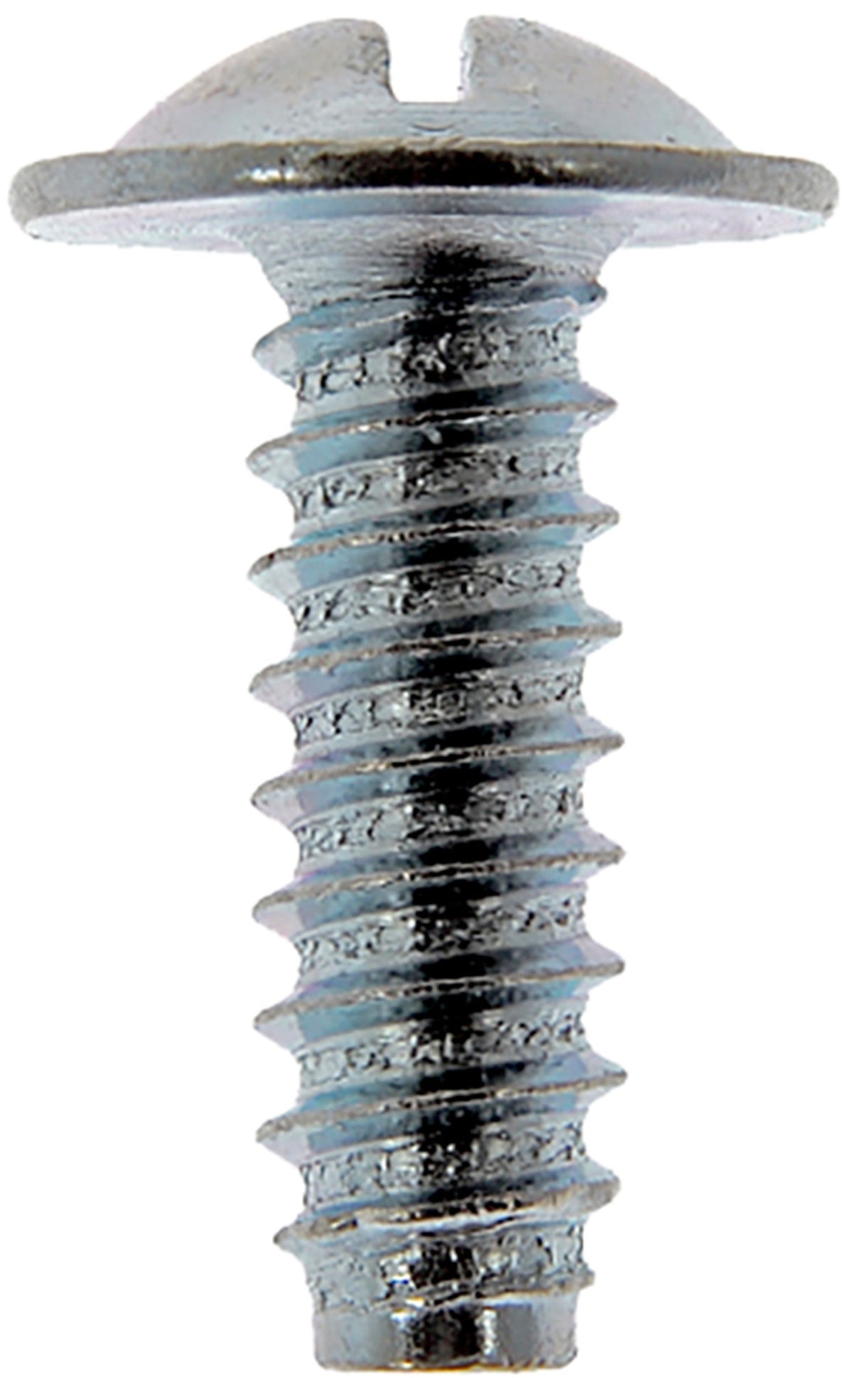 Dorman - HELP License Plate Retainer 02405