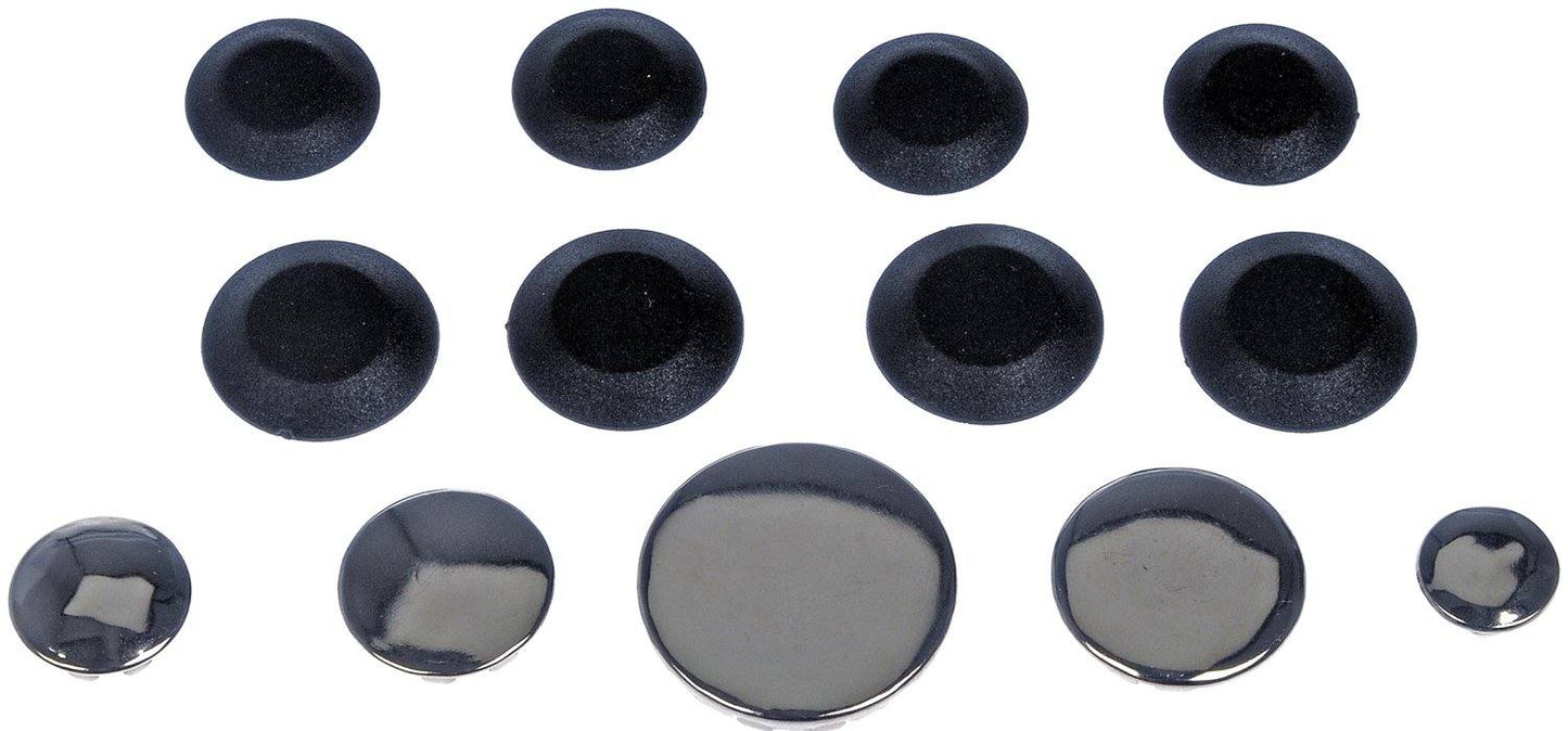 Dorman Plug Button Assortment 02413