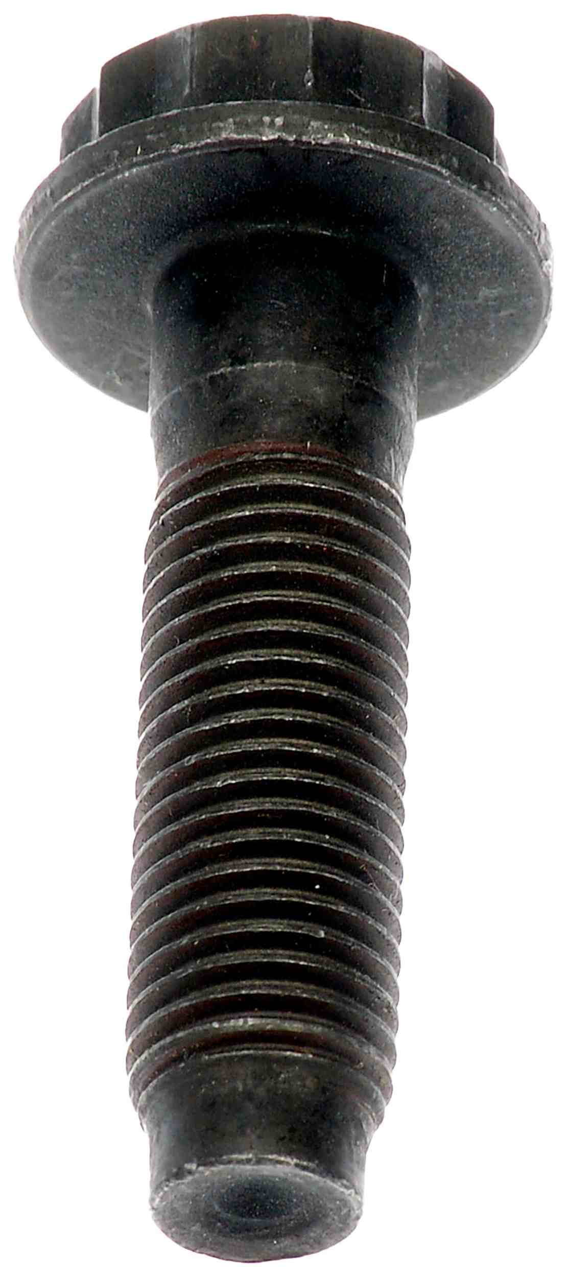 Motormite 13883