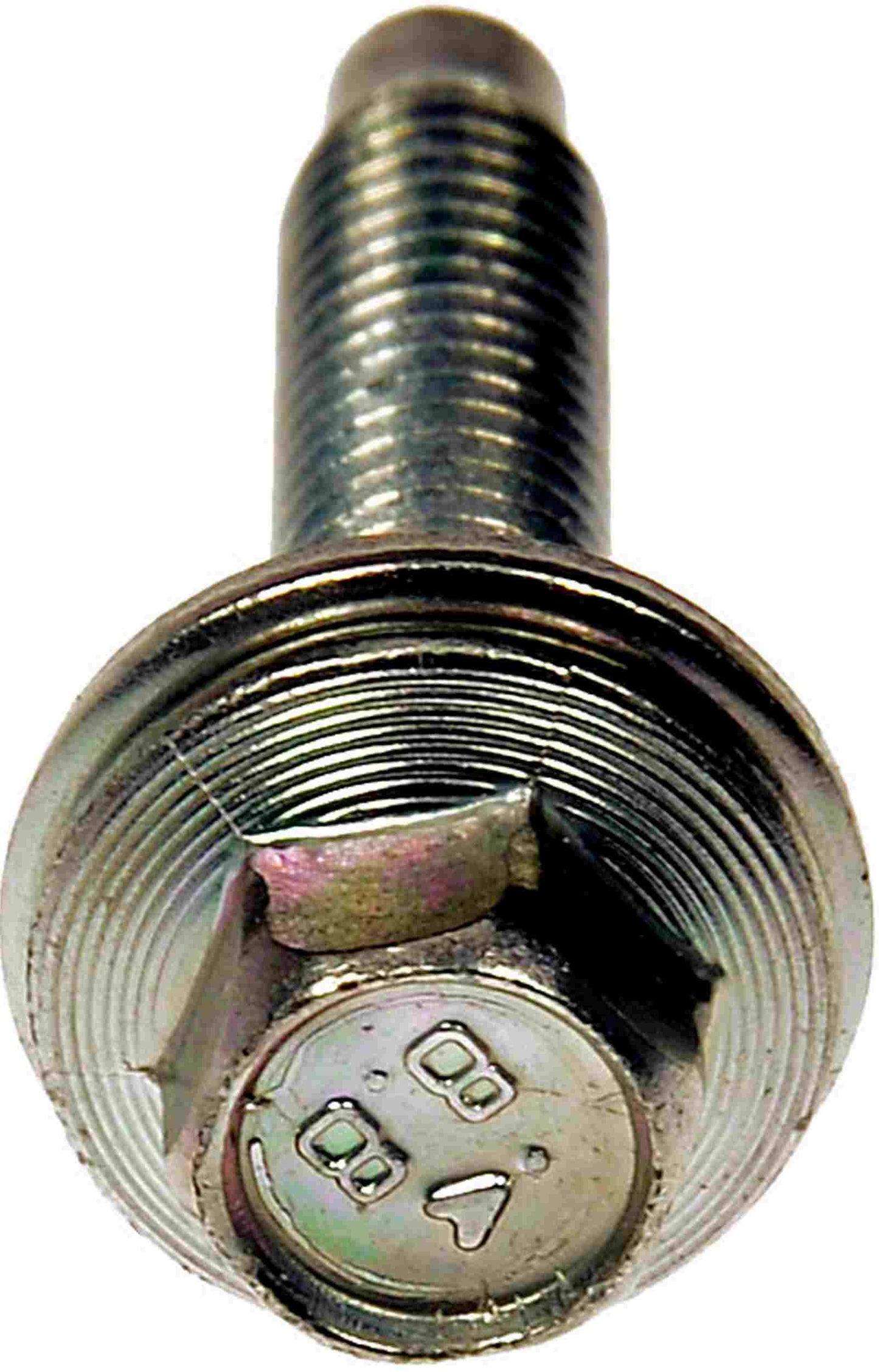 Motormite 23749