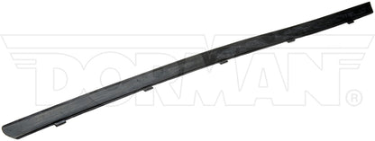 Dorman - HELP Door Belt Molding Outer Window Sweep Right Side for 1994-2005 Chevrolet GMC Oldsmobile 25851