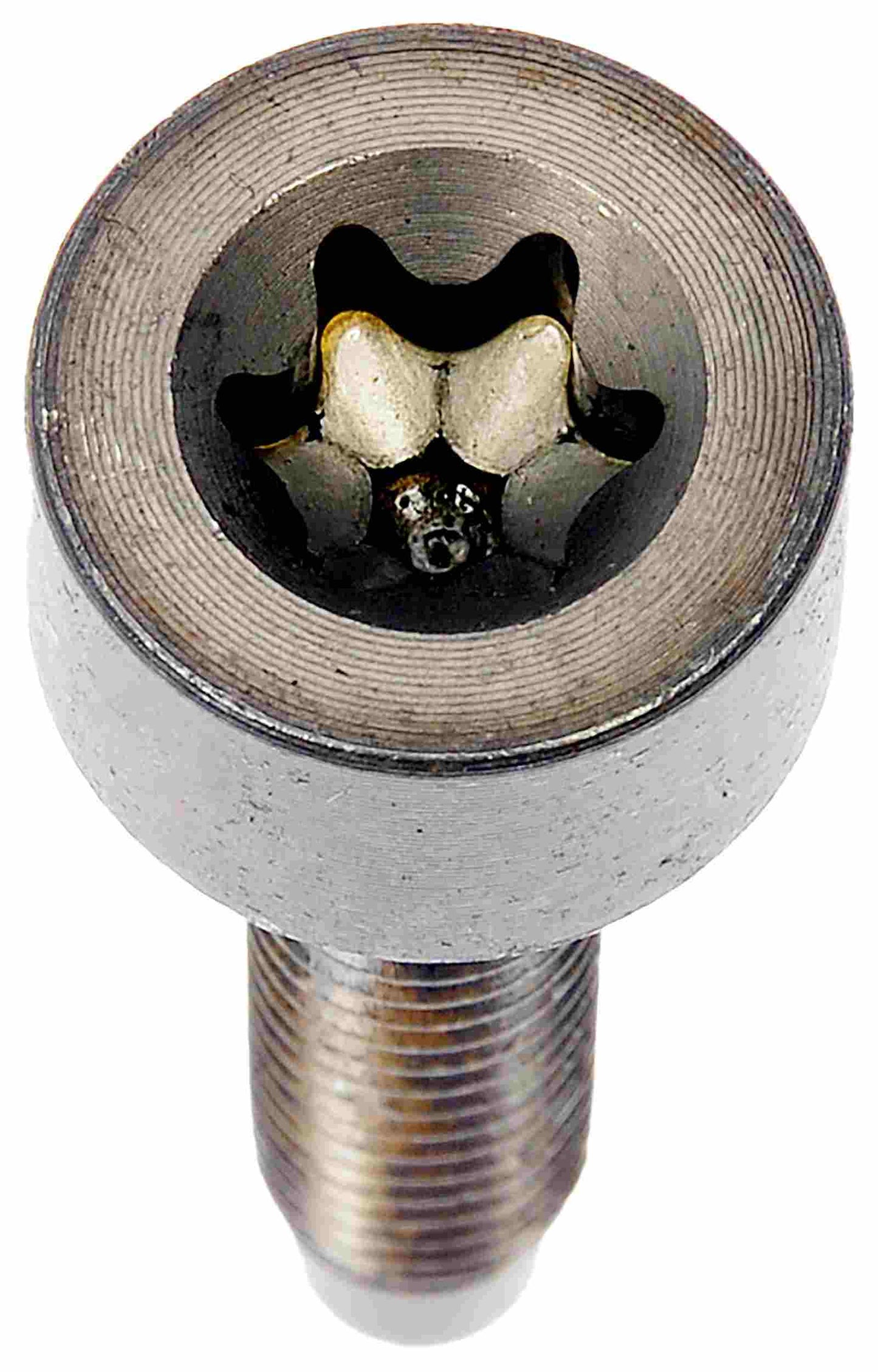 Motormite 32101
