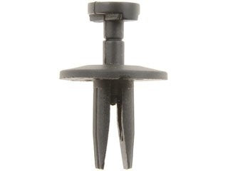 Dorman Autograde Push In Nylon Rivet 0.250 Inch for Chrysler and General Motors 45822