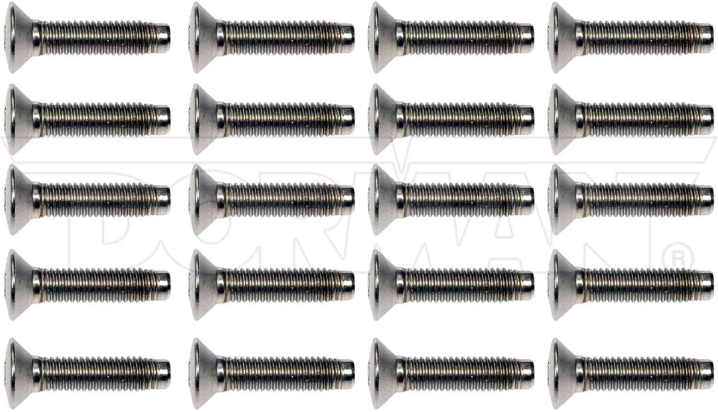 Dorman - HELP DOOR HINGE SCREWS 45998