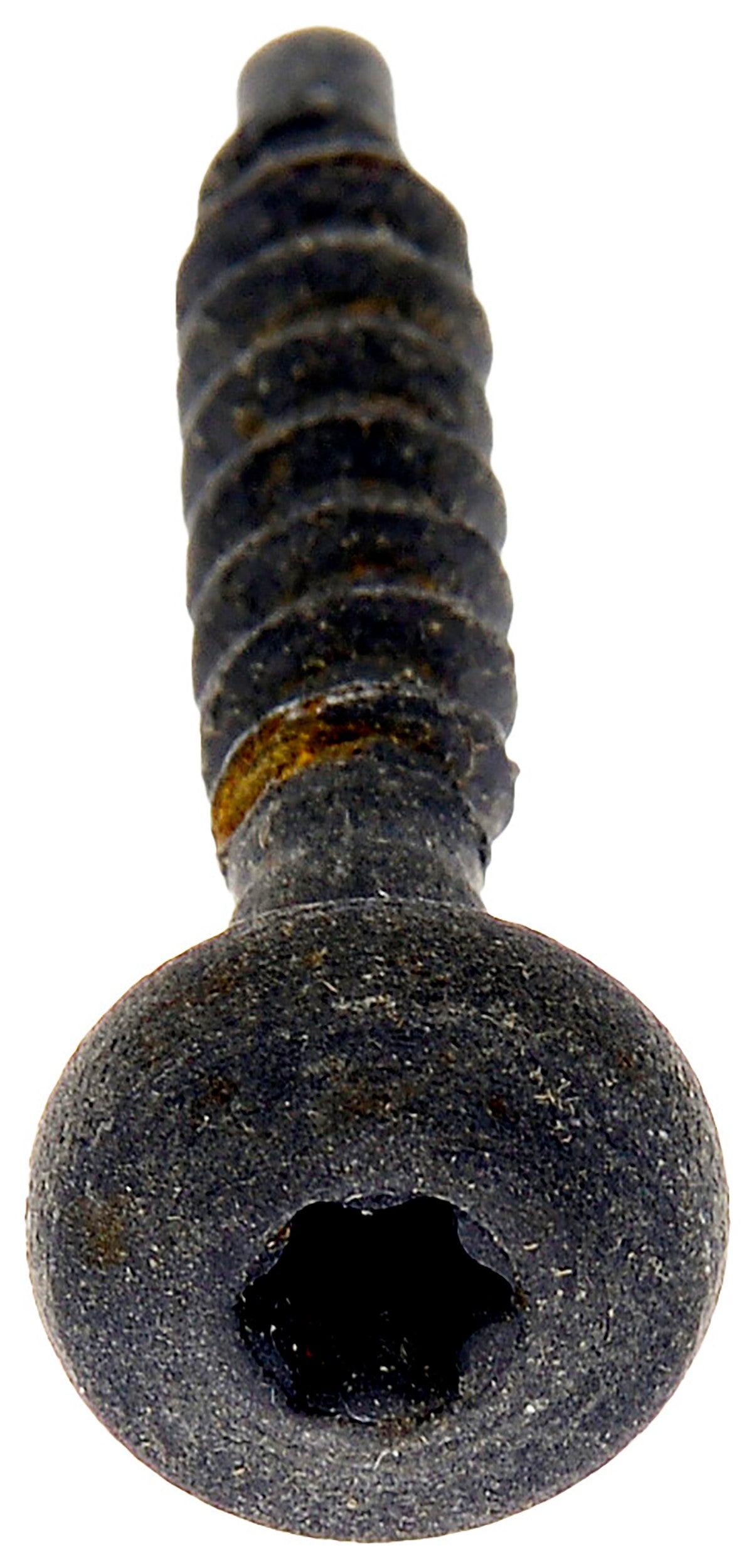 Motormite Air Filter Housing Screw 46703 main image