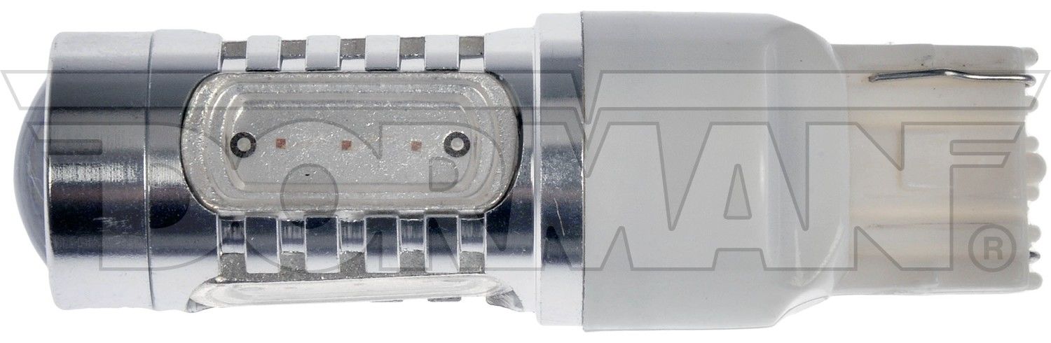 Dorman Back Up Light Bulb 7440A-HP