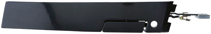 Dorman - HELP EXT DOOR HNDL OLDS RH 77175