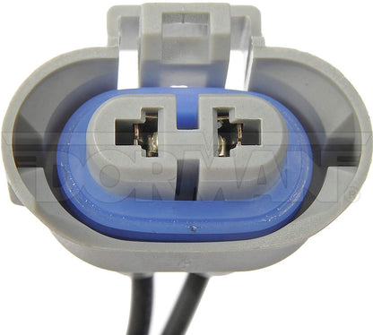 Dorman Conduct-Tite Headlight Socket for 2001-2010 Vehicles with 2-Wire H9 Harness 84784