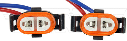 Motormite Headlight Socket 90804 main image