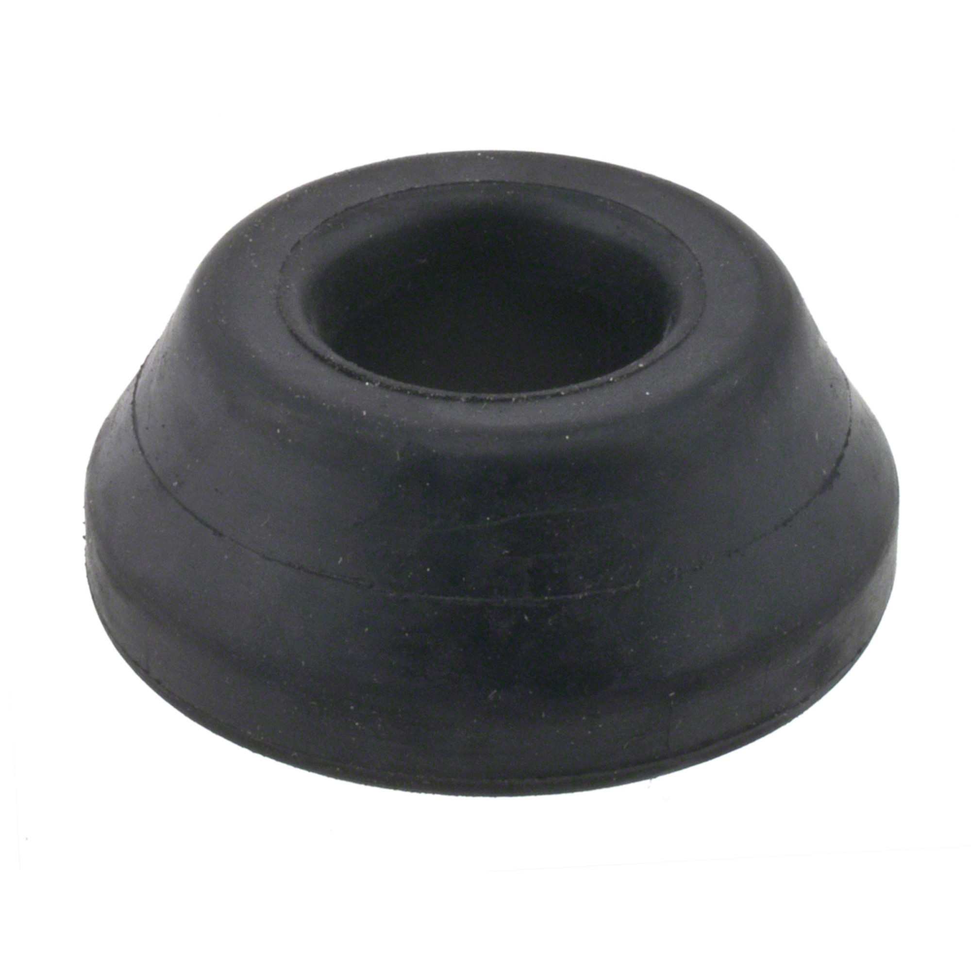 Moog FRT Trailing Arm Bushing