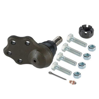 Moog Ball Joint:Lower, Dodge, RWD