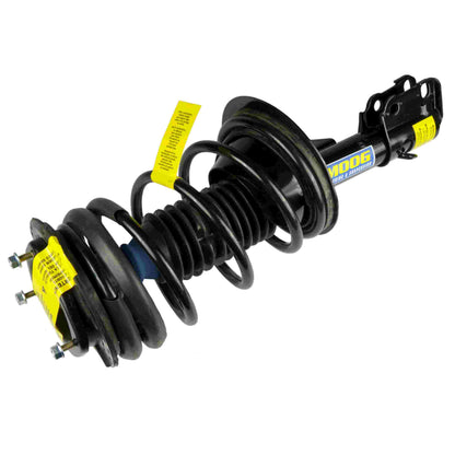 Moog Strut and Coil Spring Assembly