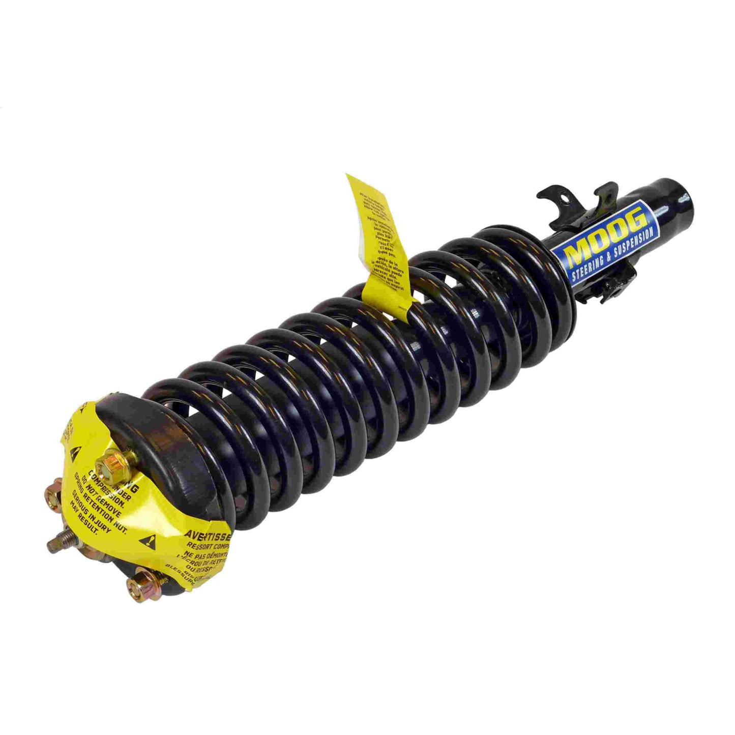 Moog Strut and Coil Spring Assembly