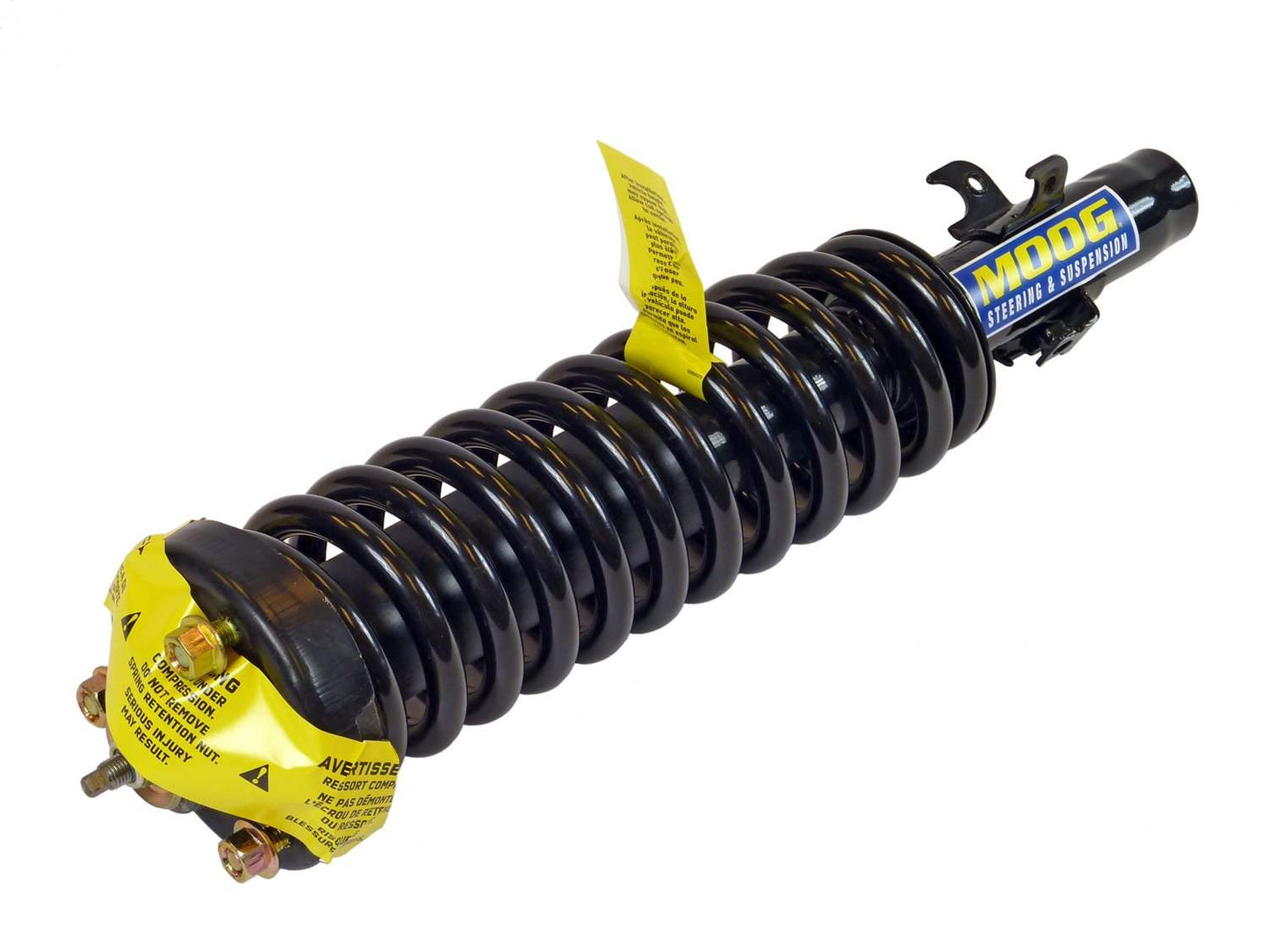 Moog Strut and Coil Spring Assembly