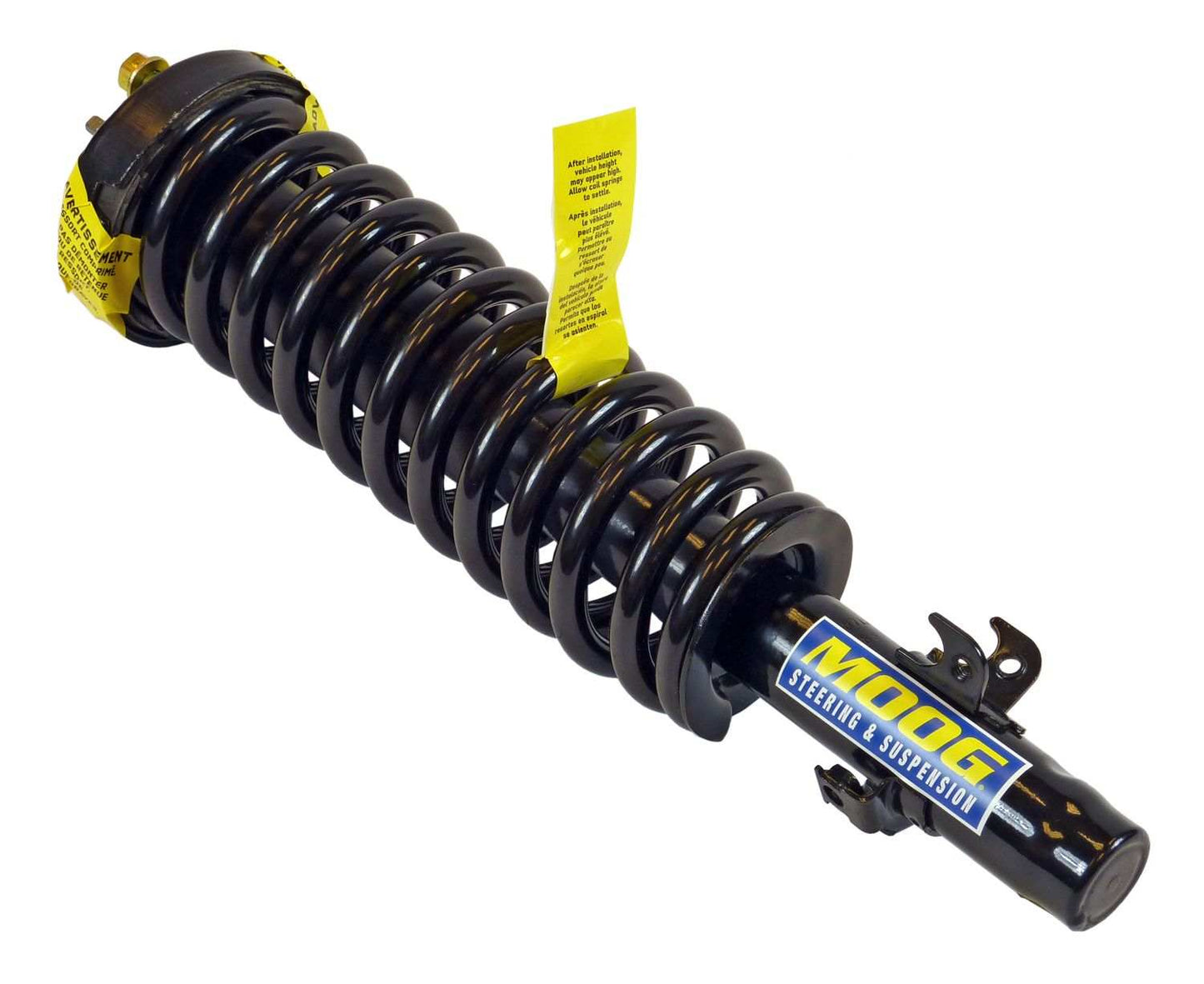 Moog Strut and Coil Spring Assembly