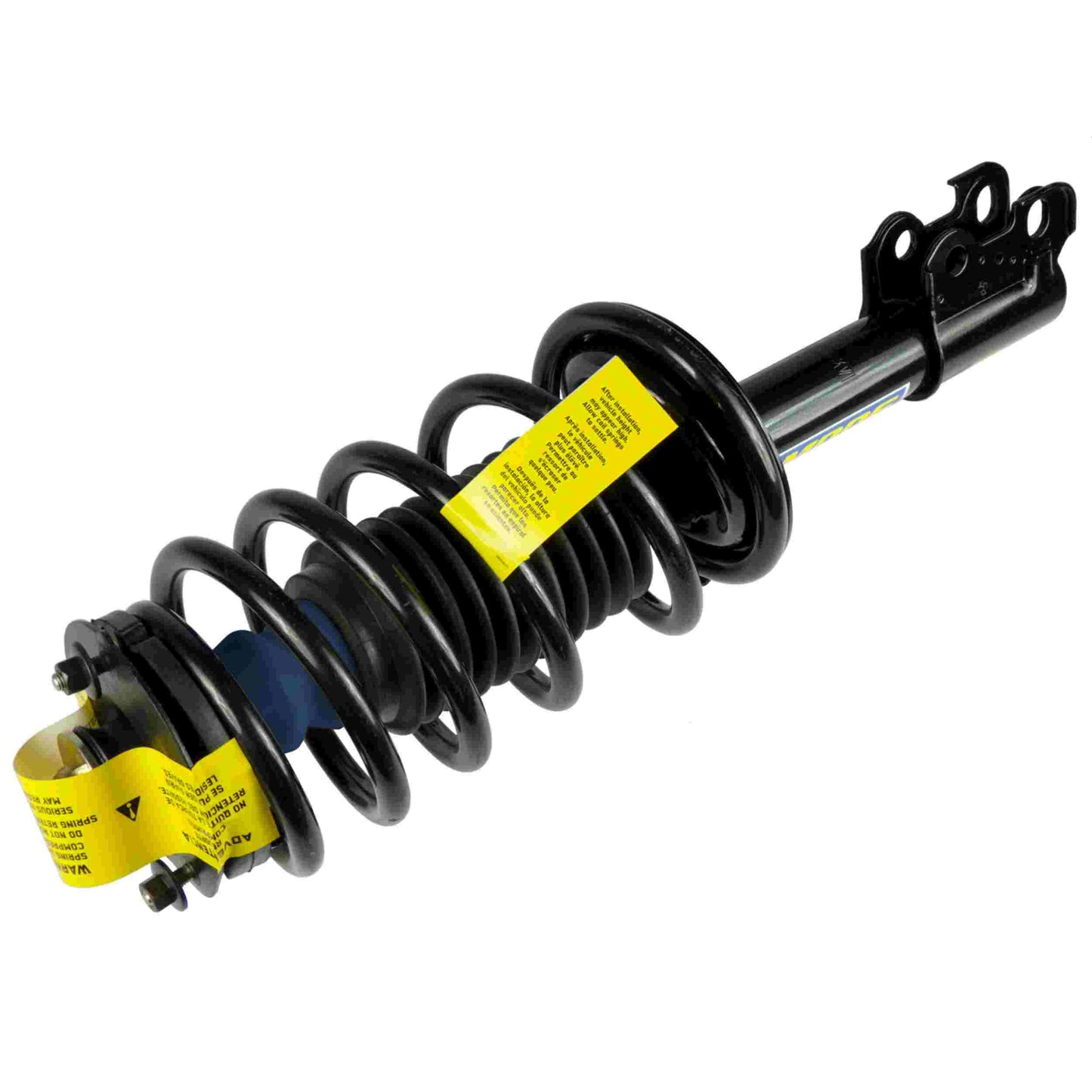 Moog Strut and Coil Spring Assembly