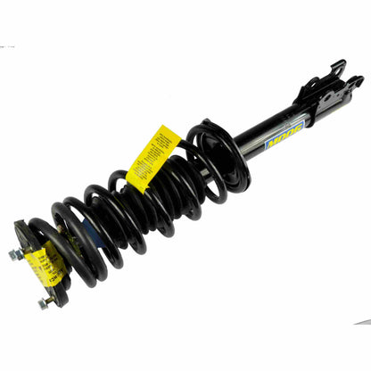 Moog Strut and Coil Spring Assembly
