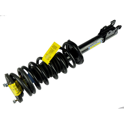 Moog Strut and Coil Spring Assembly