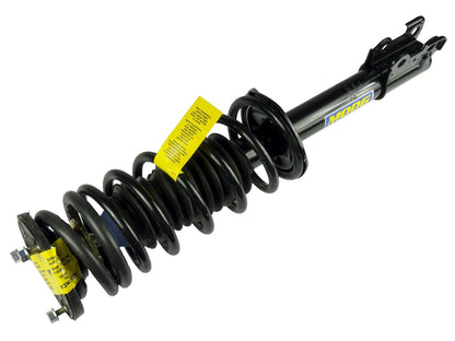 Moog Strut and Coil Spring Assembly