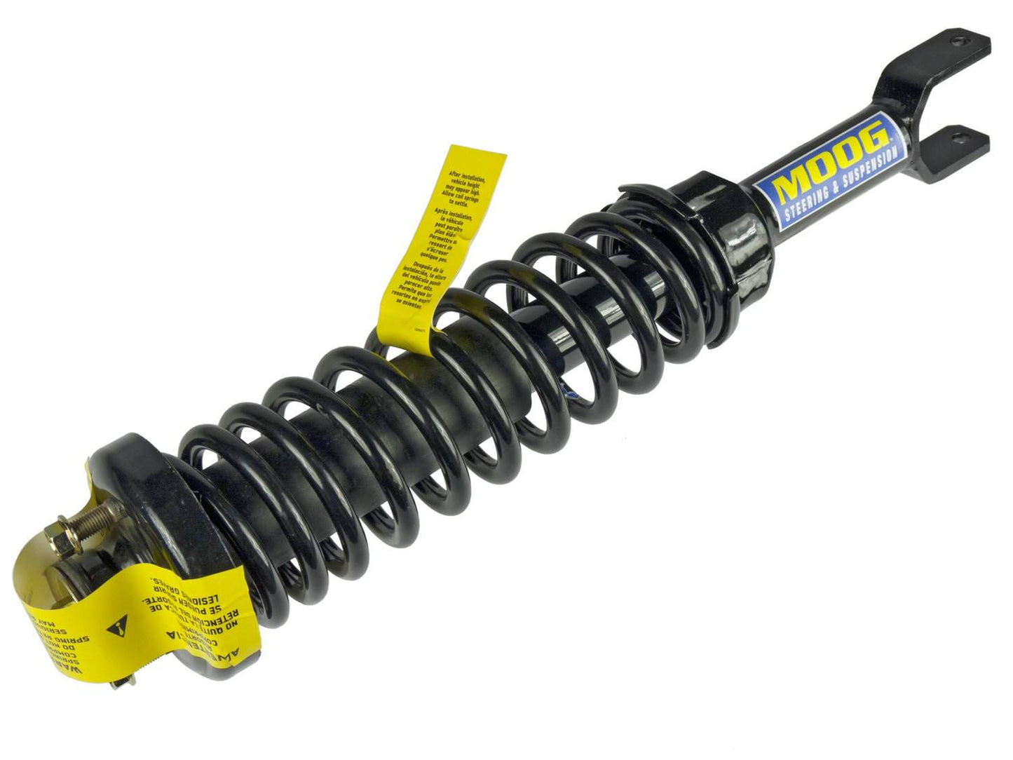 Moog Strut and Coil Spring Assembly