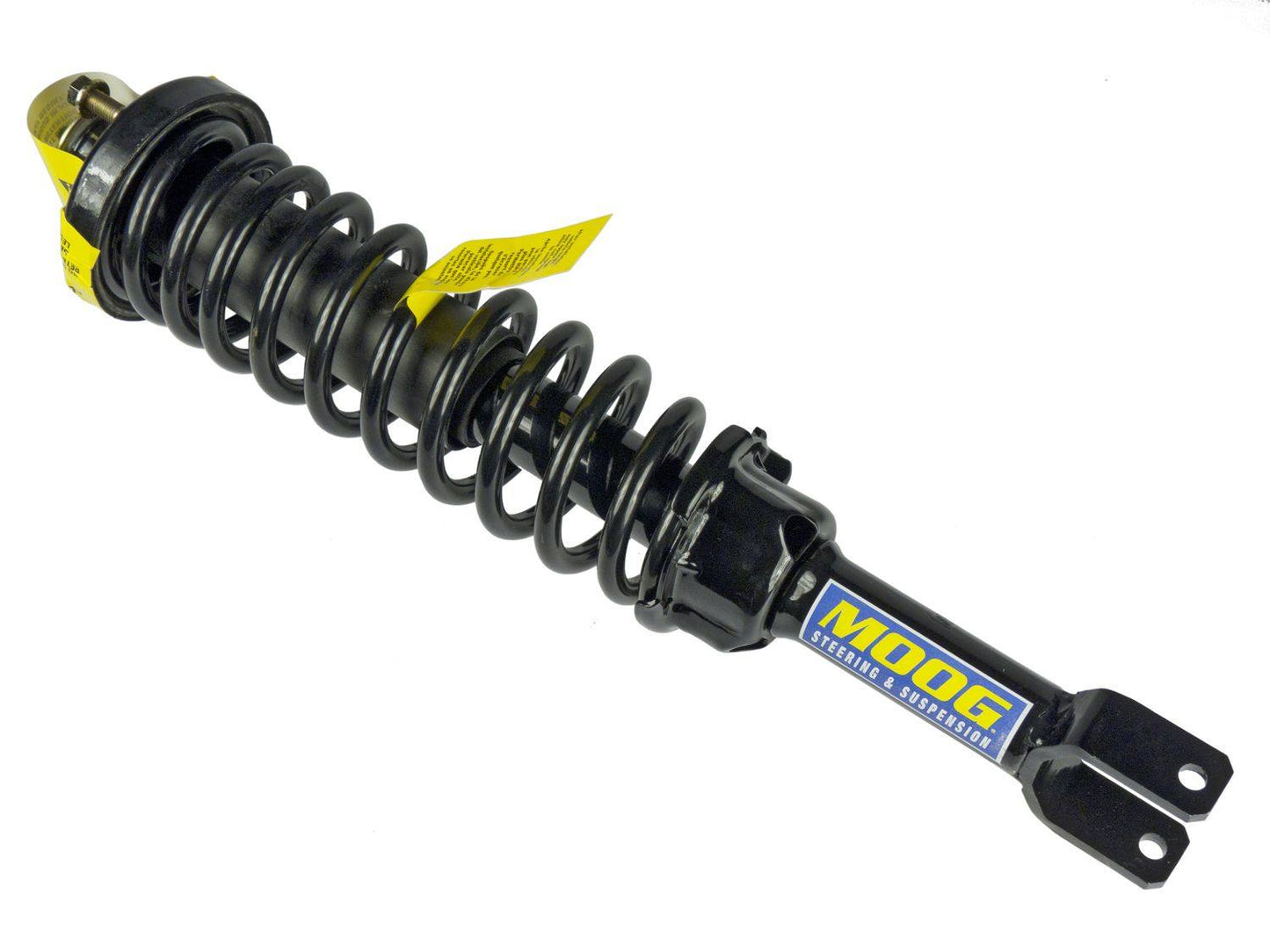 Moog Strut and Coil Spring Assembly