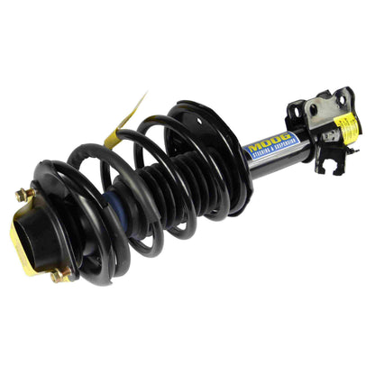 Moog Strut and Coil Spring Assembly