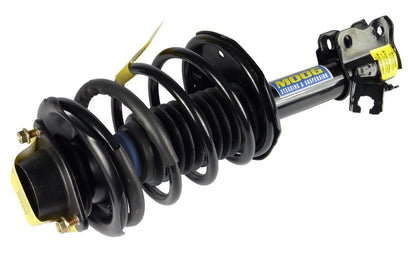 Moog Strut and Coil Spring Assembly