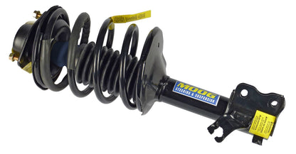 Moog Strut and Coil Spring Assembly