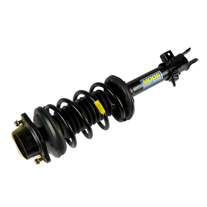 Moog Strut and Coil Spring Assembly