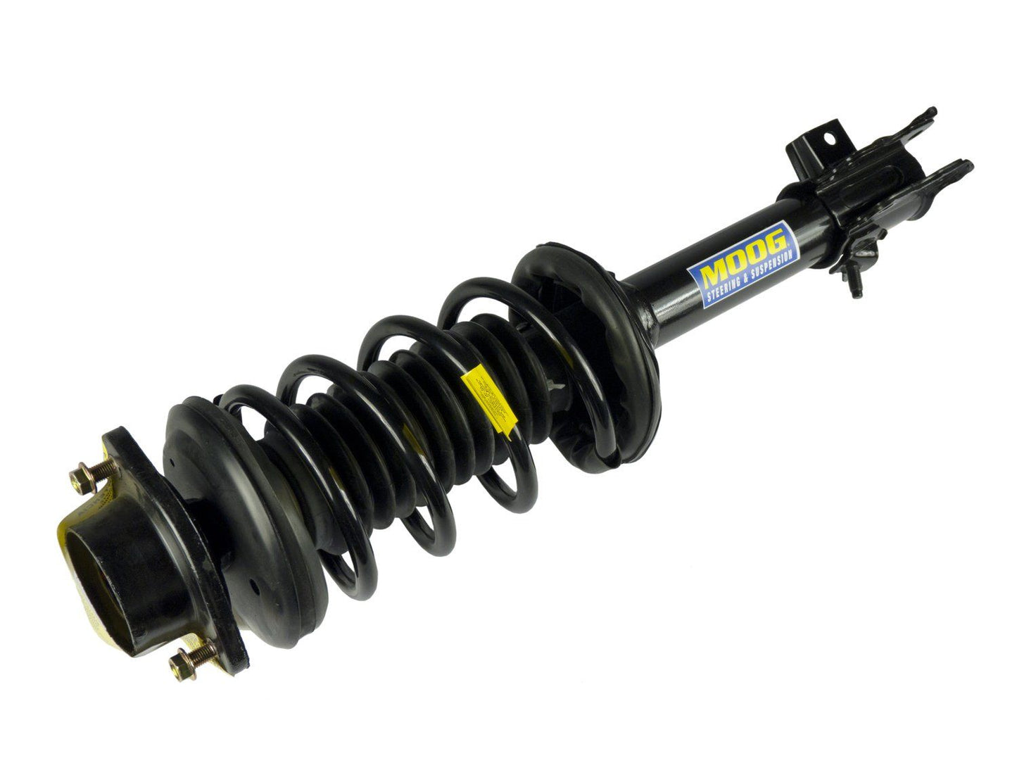 Moog Strut and Coil Spring Assembly