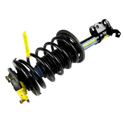Moog Strut and Coil Spring Assembly