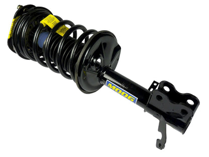 Moog Strut and Coil Spring Assembly