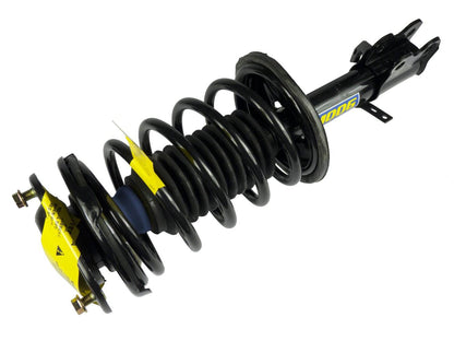Moog Strut and Coil Spring Assembly