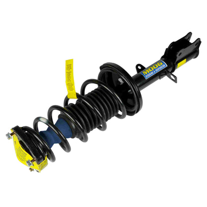 Moog Strut and Coil Spring Assembly