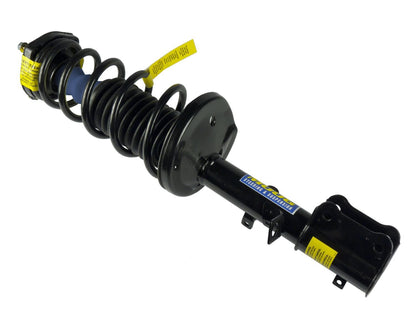 Moog Strut and Coil Spring Assembly