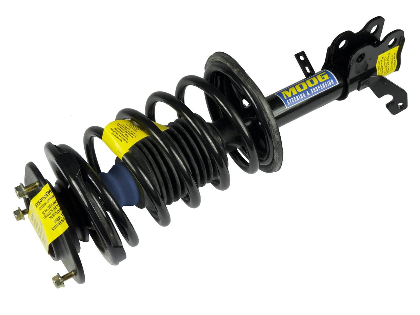 Moog Strut and Coil Spring Assembly
