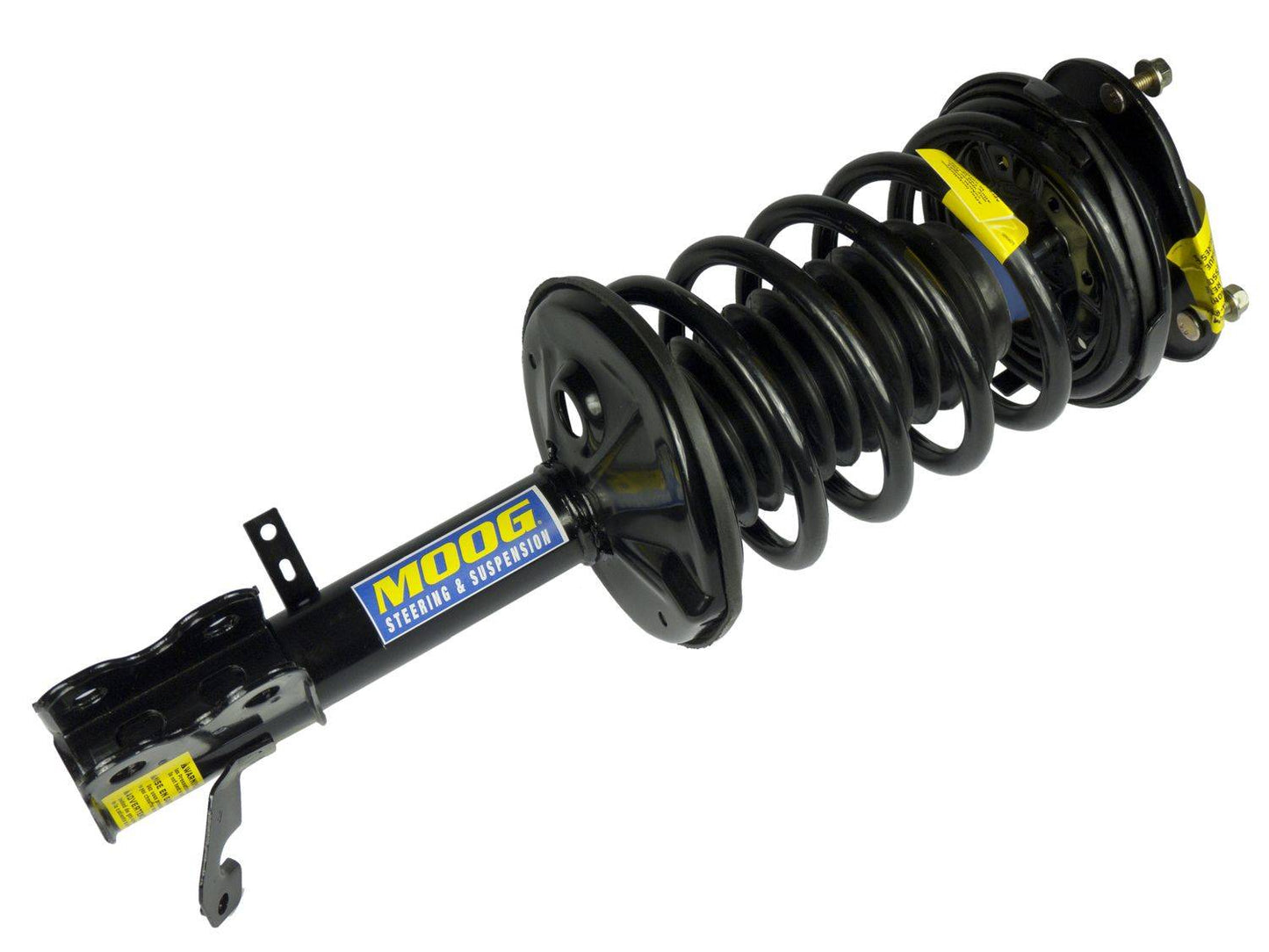 Moog Strut and Coil Spring Assembly