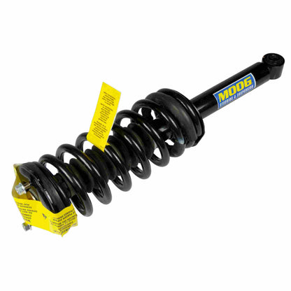 Moog Strut and Coil Spring Assembly