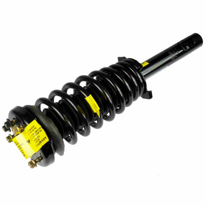 Moog Strut and Coil Spring Assembly