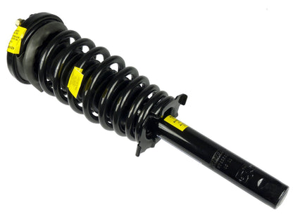 Moog Strut and Coil Spring Assembly