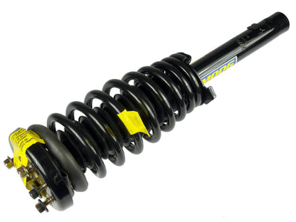 Moog Strut and Coil Spring Assembly