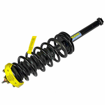 Moog Strut, Rear,Twin-tube,Gas Charged,for use on Honda