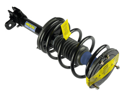 Moog Strut And Coil Spring Assembly