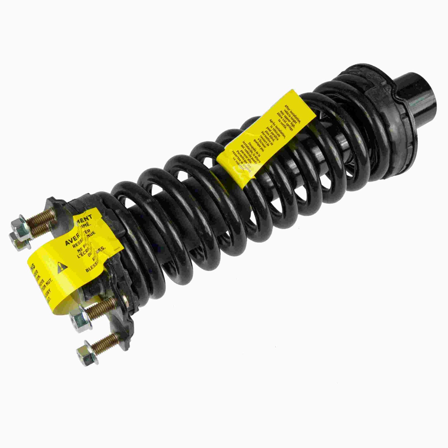 Moog Strut and Coil Spring Assembly