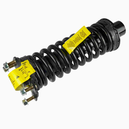 Moog Strut and Coil Spring Assembly