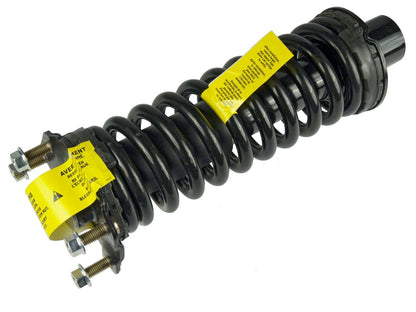 Moog Strut and Coil Spring Assembly